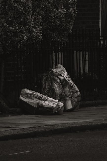 Two black plastic rubbish bags and a cardboard box containing waste materials are placed on a pavement in front of a black metal fence, with a background of dense greenery and trees. The rubbish bags